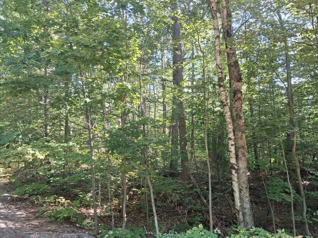 V/l Mackinaw Trail Par 345, 346, & 347, Gaylord