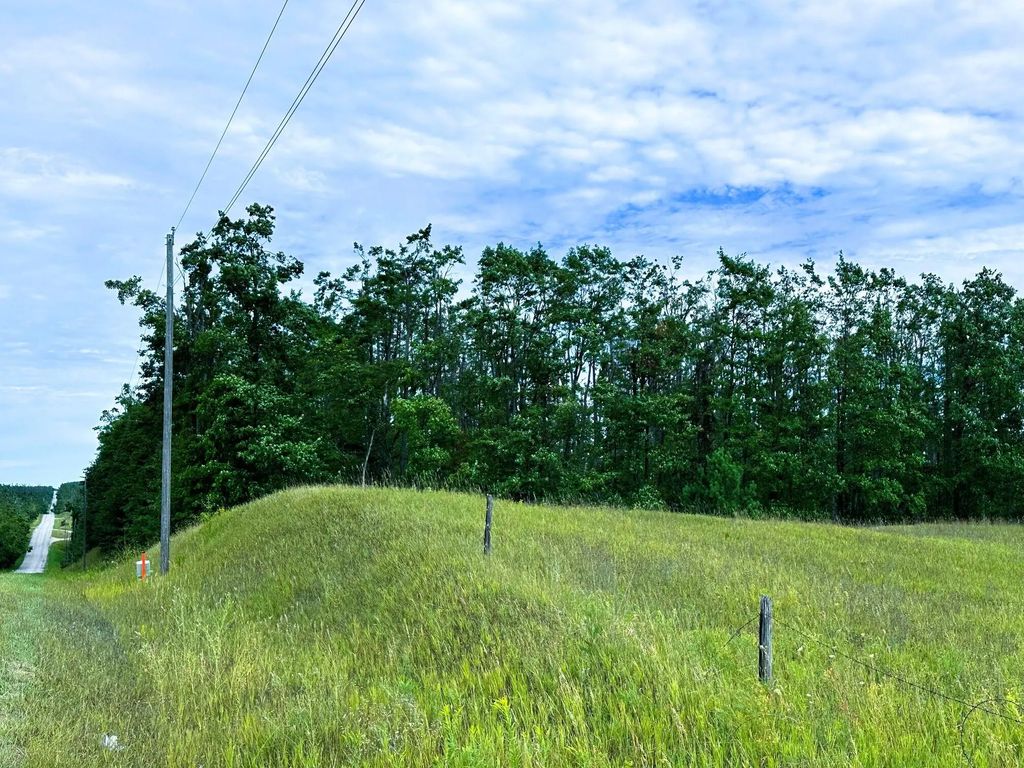 Pyke School Road 34+/- Ac, Gaylord