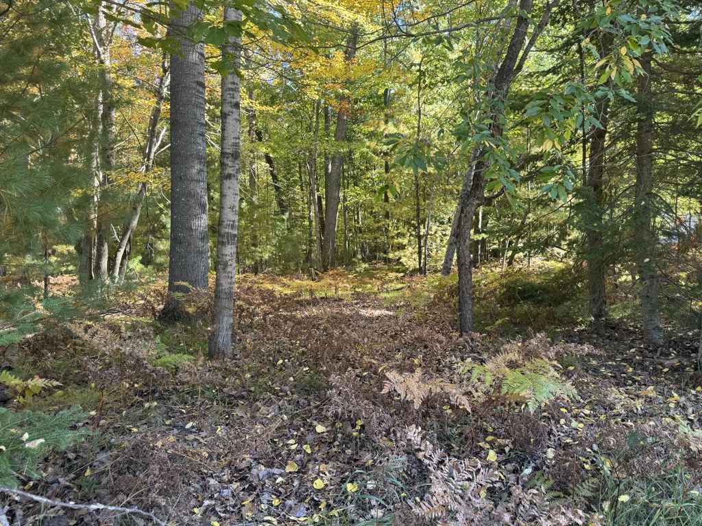 1601 Lake James Drive, Prudenville