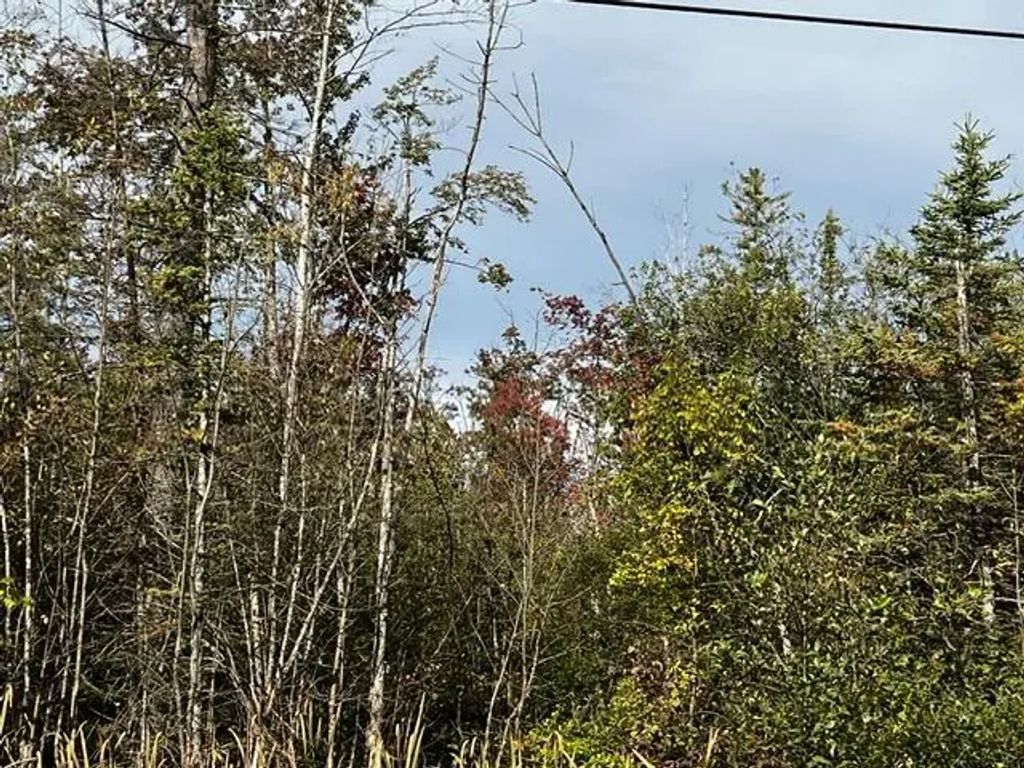 308 Geronimo Road, Alpena