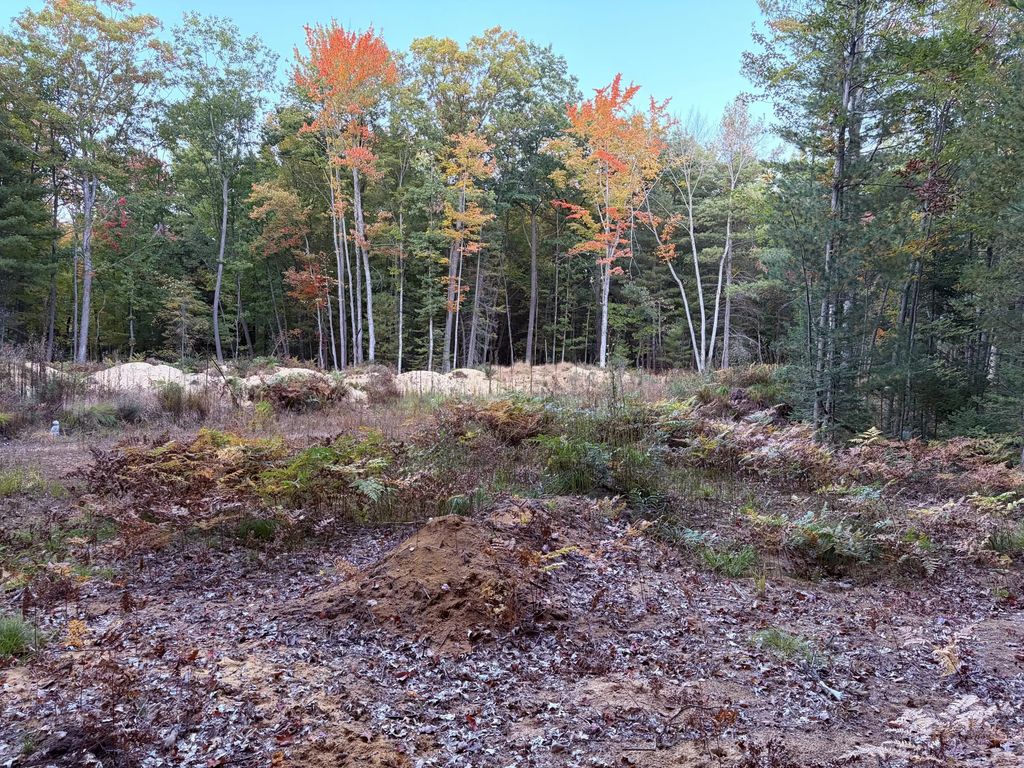 Lot #20 Indian Oaks Trail, Prudenville